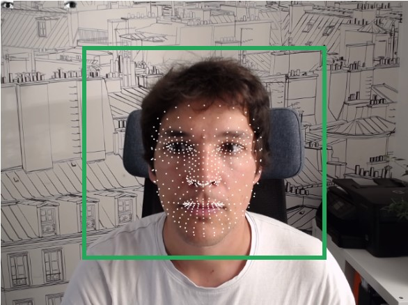 The mask used in RealEye for automatic recognition of facial expressions