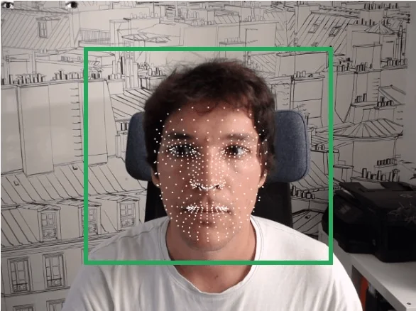 The mask used in RealEye for automatic recognition of facial expressions