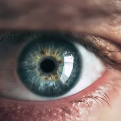 Understanding Eye-Tracking Technology: A Beginner’s Guide