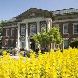 RealEye for Rensselaer Lally School of Management